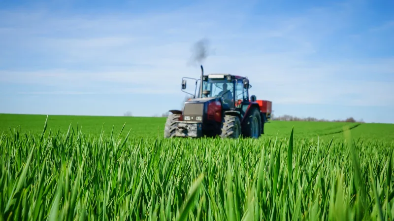 Expertenberatung und Service